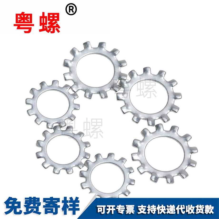 迪慶內多齒墊圈