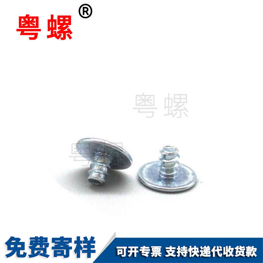 賀州非標賀州電子螺絲