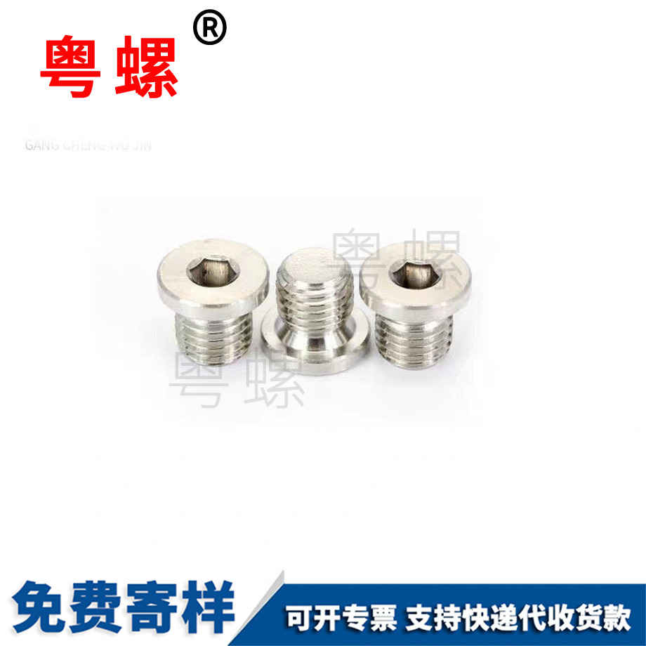 定制內六角帶邊漯河堵頭