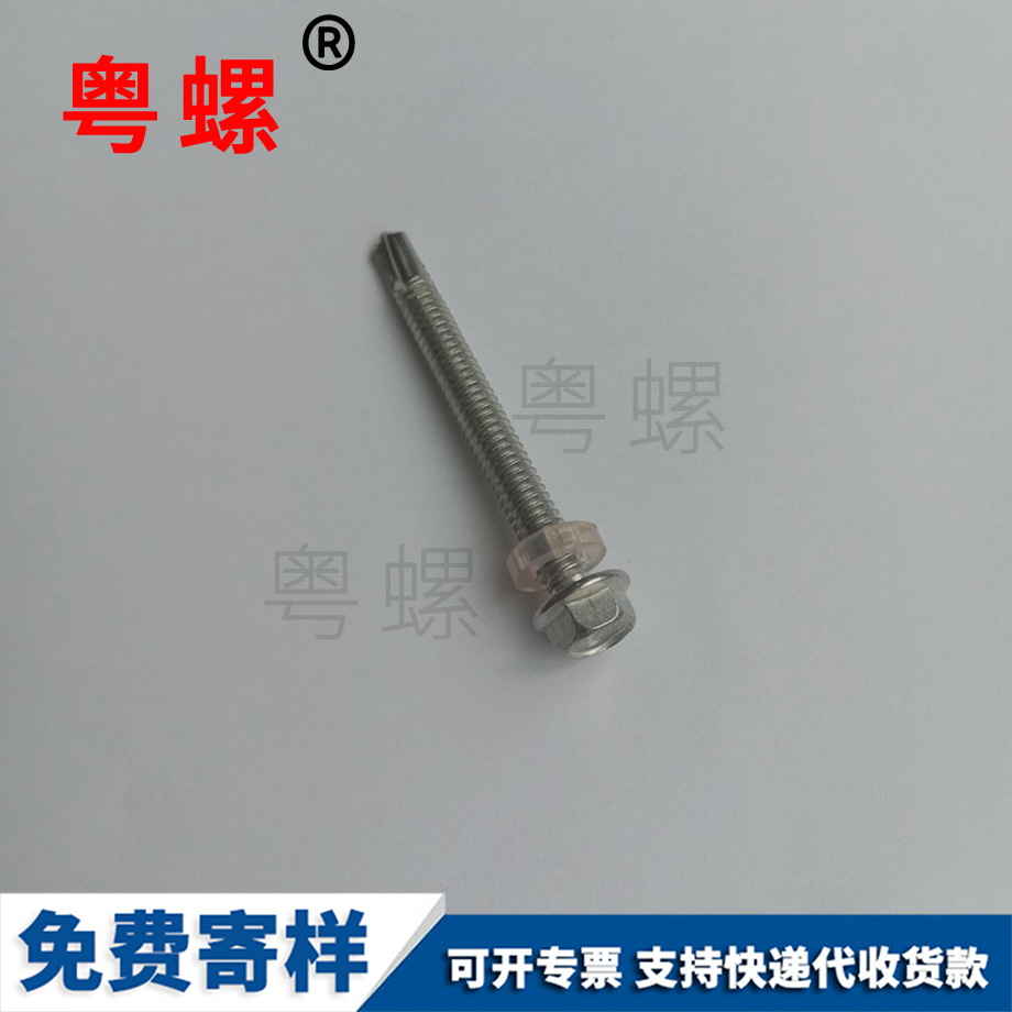 浙江圓頭帶墊鉆尾