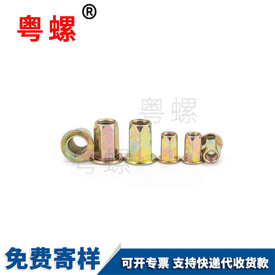 紹興拉默紹興拉鉚螺母