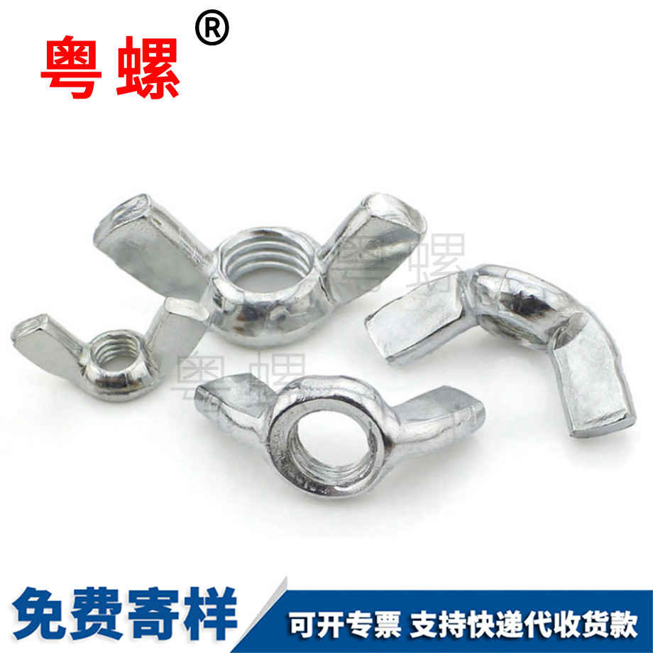 批發方翼蝶母