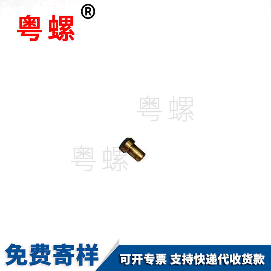 阜陽阜陽非標阜陽不銹鋼螺絲